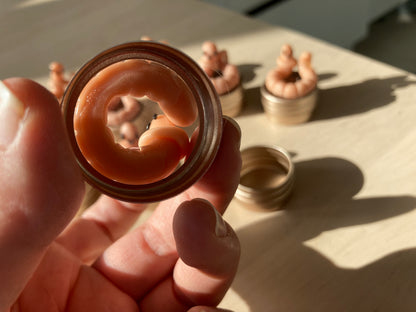 Milchzahndose Der Regenwurm aka Hütter der MIlchzähhne