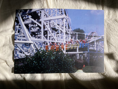 Life is a holy rollercoaster Poster