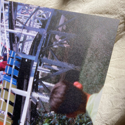 Life is a holy rollercoaster Poster