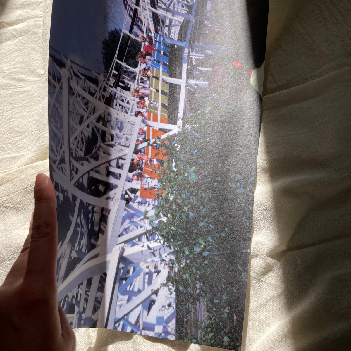 Life is a holy rollercoaster Poster