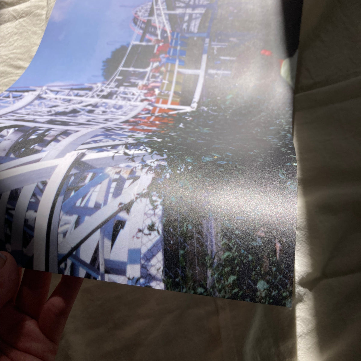 Life is a holy rollercoaster Poster