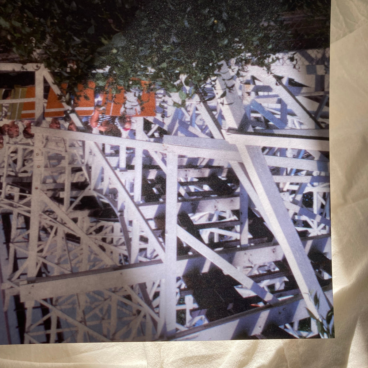 Life is a holy rollercoaster Poster