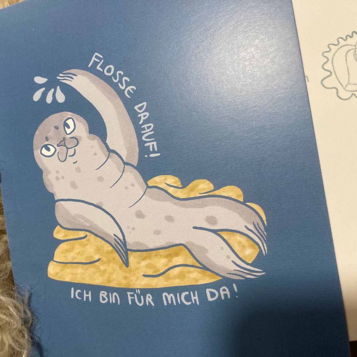 Postkarte Robbe