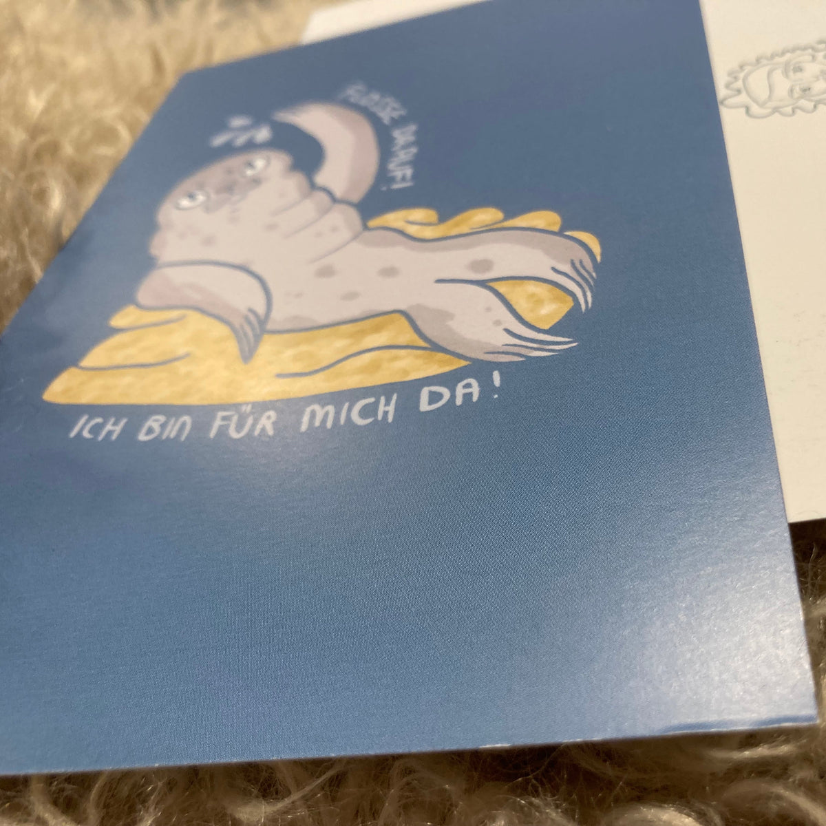 Postkarte Robbe